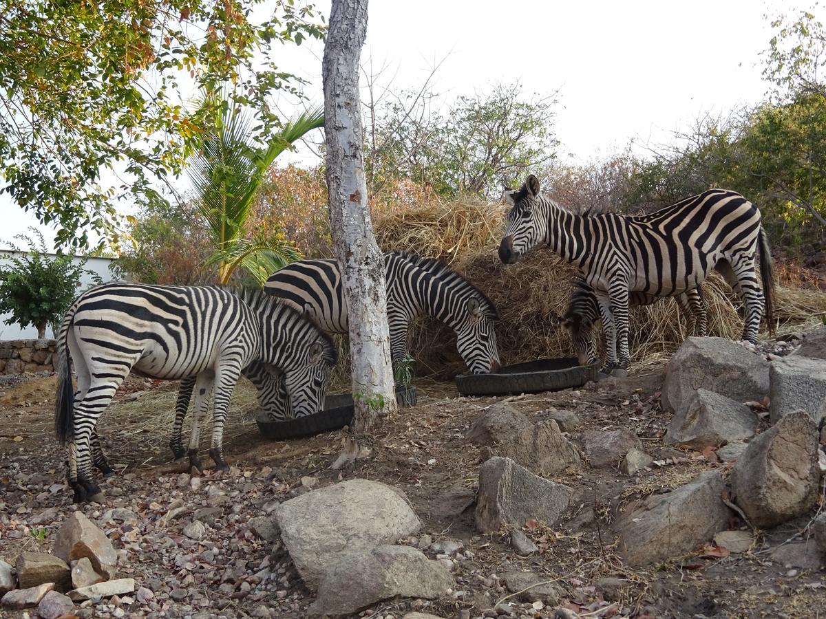 Lake Kariba Inns Siavonga Kültér fotó